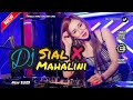 Single Funkot - Dj Sial (Mahalini) New 2023 - Trending Viral TikTok