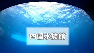 【水族館】四国水族館(香川県)　マダライルカとクラゲ