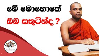 මේ මොහොතේ ඔබ සතුටින්ද ?