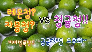 레몬청? 자몽청? VS 한국의 라임 청귤청 비타민폭발 감기예방에최고봉 껍질도먹을수있어요 청귤청담는방법 청귤나오는시기