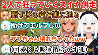 謎の存在『白上のパイナップル』が誕生するフレアちゃんと、スイカに壊され割と珍しい姿を見せていく白上さんのスイカゲーム併走ｗ【白上フブキ/不知火フレア/切り抜き/ホロライブ】