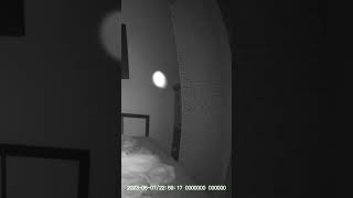 Snow Orb @orbfan #orb #paranormal #viralshorts