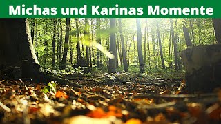 Autumn walk in the forest in the Sauerland: Experience the impressive nature in all its glory