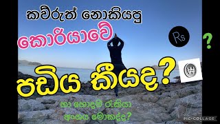 කව්රුත් නොකියපු කොරියාවේ පඩිය සහ හොදම රැකියාව/salary in South Korea.thats a secret video #26 vlog