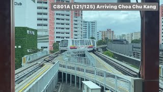 [Rarely Seen][SMRT] C801A (121/125) Arriving Choa Chu Kang(Svc B)