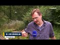 lausitz.tv am montag die sendung vom 24.07.23