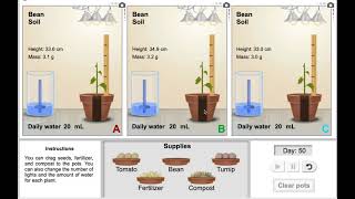 Pre-Ib Science 9 Virtual Lab - Growing Plants