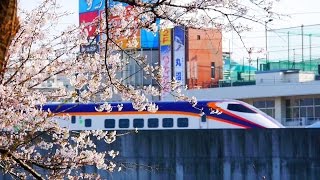 【鉄道PV】山形新幹線「桜咲く東京」