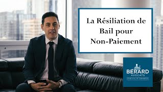 Résiliation de Bail en cas de non Paiement de Loyer - Bérard Avocats