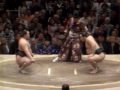 the real sumo fighting 1 8 high quality