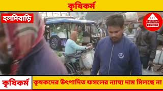 কৃষকদের উৎপাদিত ফসলের ন্যায্য দাম মিলছে না হলদিবাড়ি পাইকারি সবজি বাজারে।