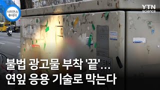 불법 광고물 부착 '끝'...연잎 응용 기술로 막는다 / YTN 사이언스