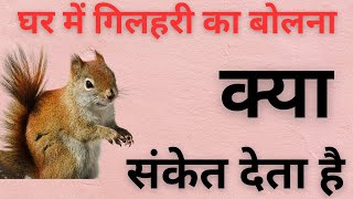 ‌‌‌घर में गिलहरी का बोलना क्या संकेत देता है | Pavitragyans