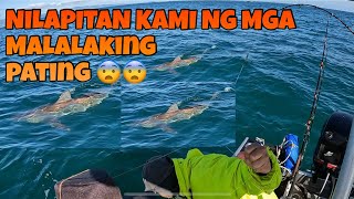 NILAPITAN KAMI NG MGA MALALAKING PATING | CATCH AND RELEASE