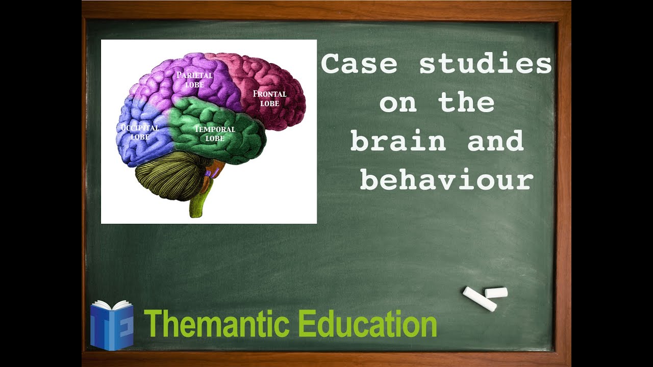 IB Psychology Research Methods - Case Studies On The Brain And ...