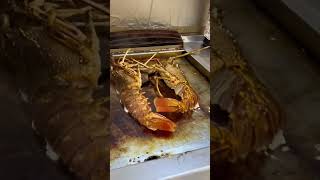 Secrets to Perfectly Grilled Lobster by Adriatic Chef