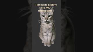 #dancechallenge #speedreverb #cat #fyr #lofilovesongslowedand #мем #танцы #тренды #lovemashupsloweda