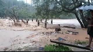 മലയോര മേഖലകളിൽ കനത്ത മഴ; കരുവാരക്കുണ്ടിലെ പല പാലങ്ങളും റോഡുകളും വെള്ളത്തിനടിയിലായി.Heavy Rain Kerala