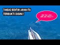 Spearfishing Indonesia-Spearfishing Sumbar-Misteri Awan Aneh di Atas Spot Menyelam saat Memanah Ikan