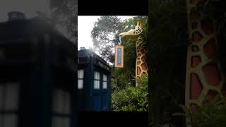 🌍 Tardis Bless the Rains Down in Africa 🌍 Doctor WHO - Disney's Animal Kingdom