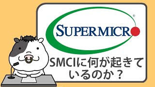 スーパーマイクロコンピュータ株に何が起きているのか？【2024/08/23】