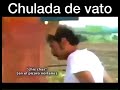 chulada de vato