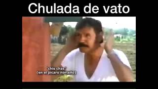 Chulada de vato