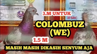 PENAWARAN TERTINGGI COLOMBUZ (WE) BARU 1,5 M KALAU 3 M BARU DI DOL