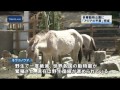 多摩動物公園　新施設「アジアの平原」完成