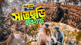 মায়াবী প্রকৃতির মধ্যে এক মনোমুগ্ধকর যাত্রা | Satchari National Park | সাতছড়ি জাতীয় উদ্যান | Habiganj