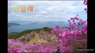 #진달래_가곡부르기#정애련곡/이상규시