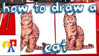How To Draw A Realistic Cat