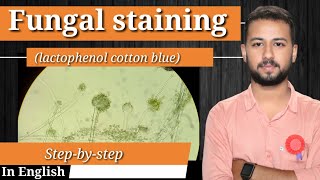 Fungi staining protocol | Fungal staining (english) | Microbiology Lactophenol Cotton Blue Technique