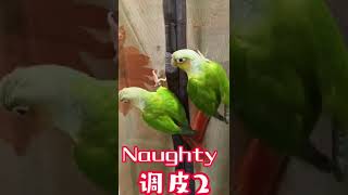 Naughty baby 2 身边有个调皮的捣蛋鬼是什么体验#shorts