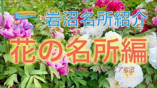 【岩沼紹介】花の名所編（金蛇水神社　ハナトピア岩沼）2022年5月