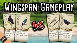 Wingspan Gameplay | Can grasslands engine compete with full tuck?