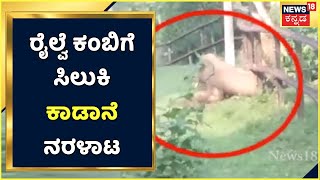 Railway Barricadeಗೆ ಸಿಲುಕಿ ಒದ್ದಾಡಿದ ಆನೆ; Kodagu ಜಿಲ್ಲೆಯ ಕುಶಾಲನಗರ talukinalli ಘಟನೆ