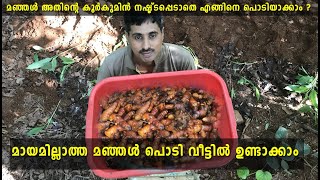 How to make Easy Homemade Turmeric Powder | ശുദ്ധമായ മഞ്ഞൾ പൊടി വീട്ടിൽ ഉണ്ടാക്കാം Organic Turmeric