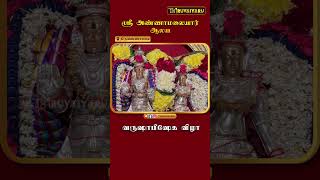 திருவண்ணாமலை ஸ்ரீ அண்ணாமலையார் கோவில் வருஷாபிஷேக விழா | Varushabisheka Vizha | Thiruvaiyaru