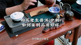 购买老生普洱（中期）如何鉴别品质好坏