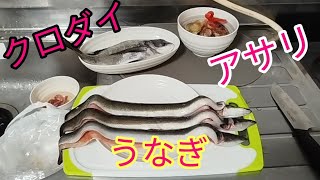 【うなぎ】豪華な料理します。鰻、黒鯛、巨大アサリ、旨いに決まってる