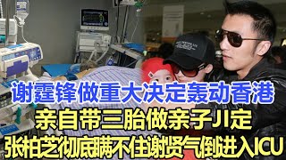 謝霆鋒做重大決定轟動香港，親自帶三胎做親紫JI定,張柏芝真相徹底瞞不住了，謝賢氣倒進入ICU,謝婷婷搬出謝家大院！娛樂名星#謝霆鋒#張柏芝#謝賢#謝婷婷