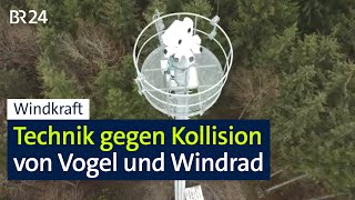 Windräder im Wald: Abschaltsysteme sollen Vögel vor Kollisionen schützen | Abendschau | BR24