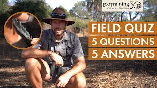 Interactive Field Observation - Episode 6 | Test your knowledge | EcoTraining