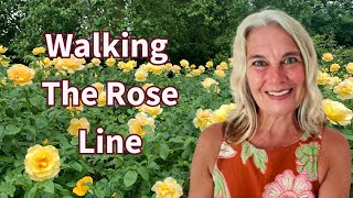 Activating The Rose Grid In The Earth