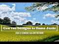 Con voz benigna te llama Jesús / himno con letra / piano / Jesus Is Tenderly Calling Thee Home