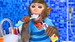 Monkey Baby BonBon Brush your Teeth and Eat Fruit with a Cute Puppy -  Crew BonBon