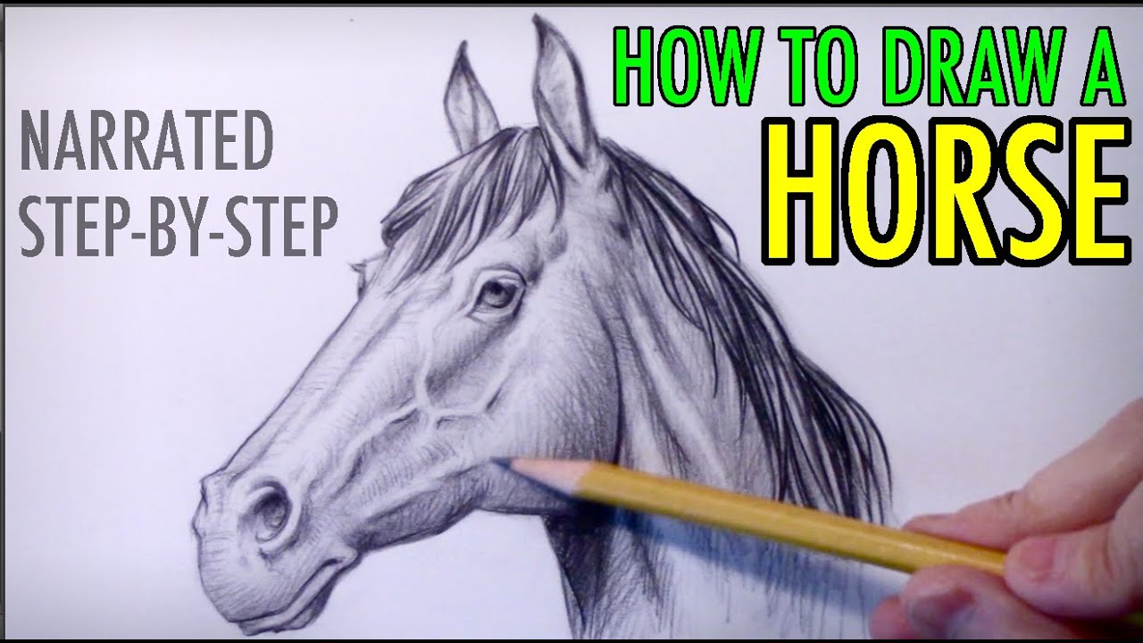 How To Draw A Horse Step By Step Realistic How To Draw A Horse Step By Step Realistic