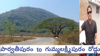 parvathipuram to guma laxmi puram roads HD