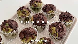 Baking Vlog 67 : 초코나무숲 머핀 만들기🧁 (말차 초코 컵케이크)